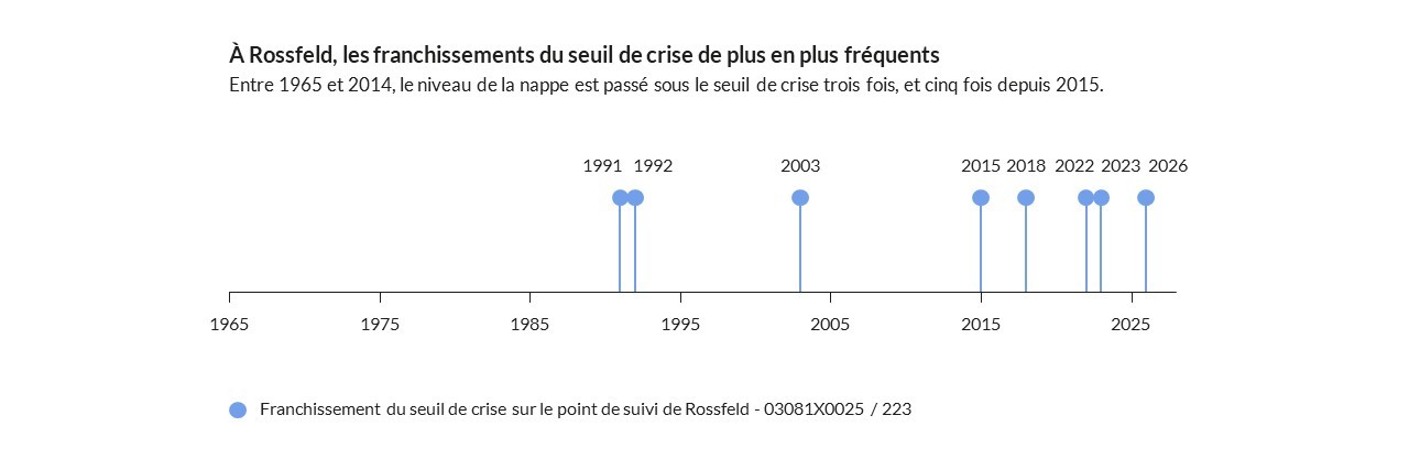rossfeld-crise